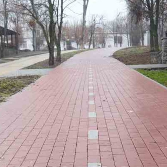 Тротуарна плитка Кирпичик без фаски 60мм 200*100 Вишня 