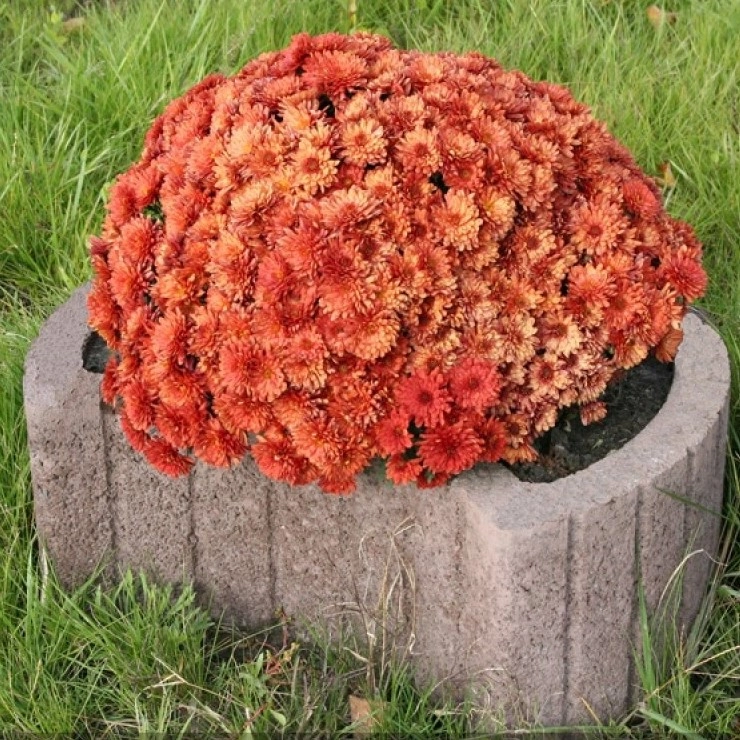 Квітник бетонна кругла