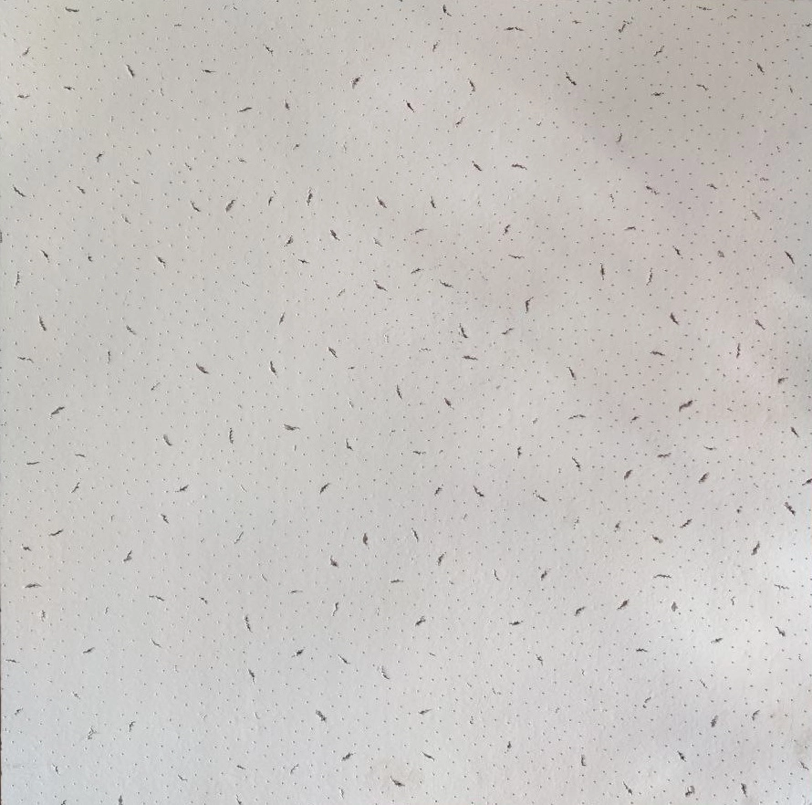 Плита для стелі J-Line ALFA 600х600х12мм