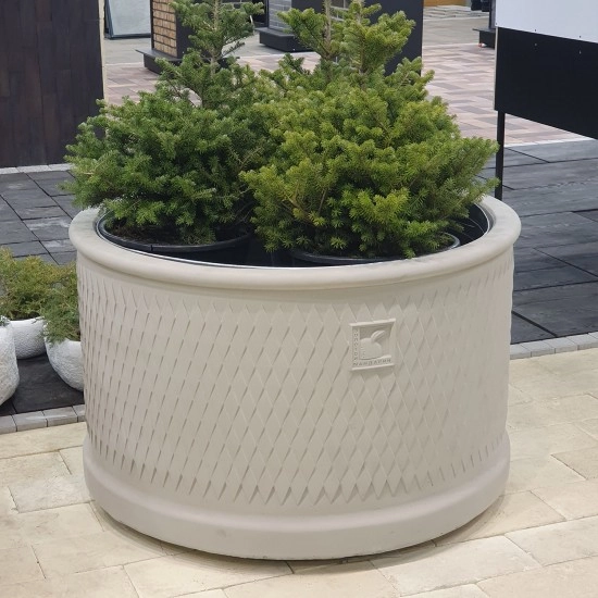 Квітник Барселона Аліта Золотой Мандарин