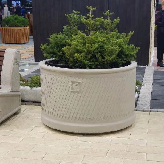 Квітник Барселона Аліта Золотой Мандарин