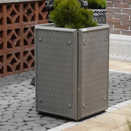 Квітник Глорія Золотий Мандарин